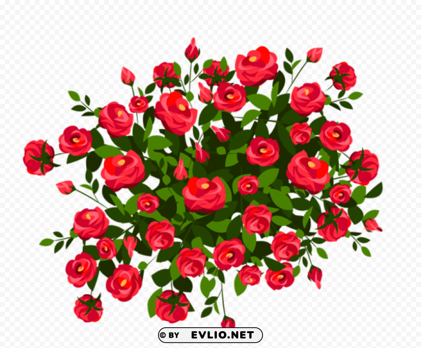 red rose bush PNG files with no royalties