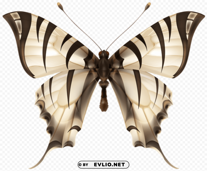 Tiger Butterfly HighQuality Transparent PNG Isolated Art