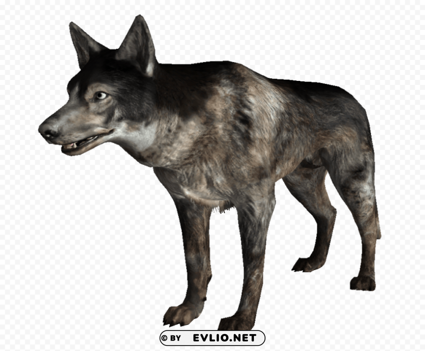 wild dogs s Transparent PNG graphics complete archive