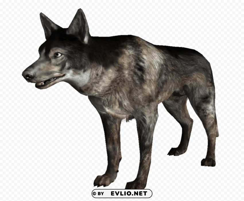 Wild Dogs S Transparent PNG Graphics Complete Archive