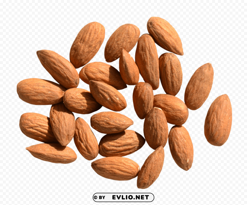 almond PNG with transparent background for free