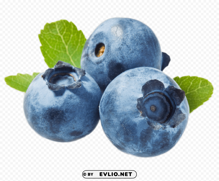 blueberries Clear Background PNG Isolated Illustration