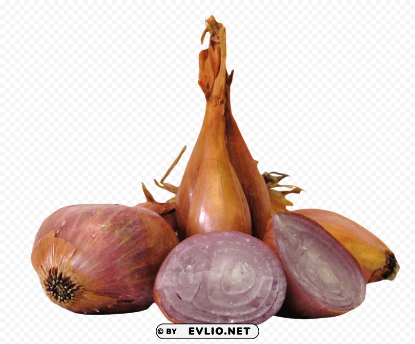 shallot onions Clear background PNGs