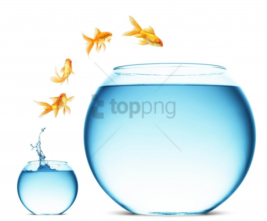 aquariums change fish jump white background wallpaper Isolated Design Element in PNG Format