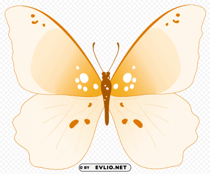 butterfly clipar HighResolution Transparent PNG Isolated Item