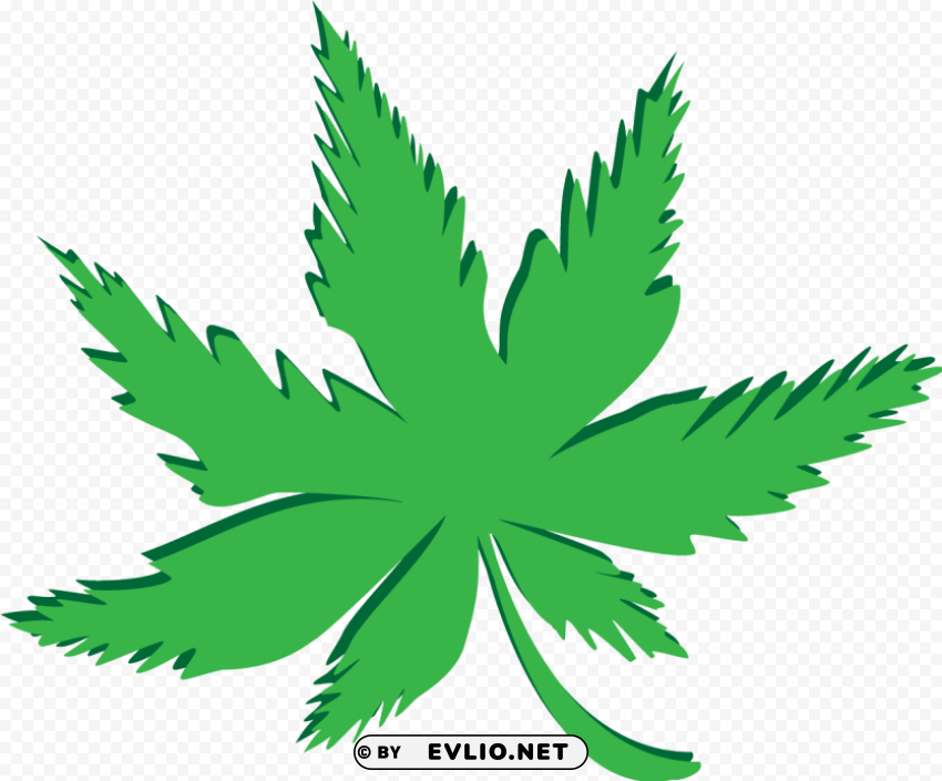 cannabis Transparent Background Isolation in PNG Format