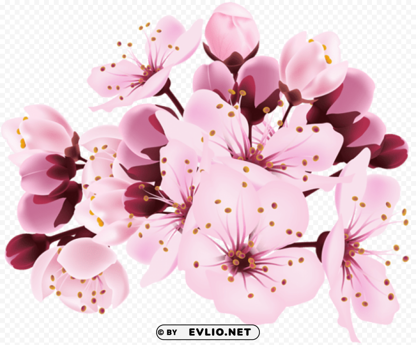 cherry blossom decorative PNG images with transparent layering