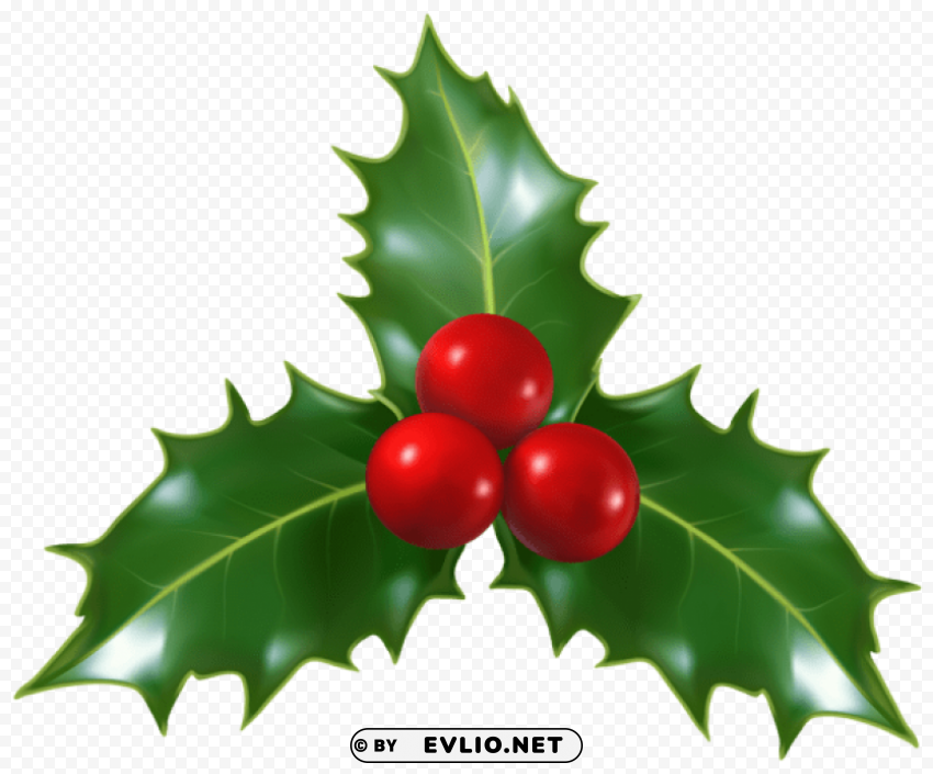 christmas holly mistletoe clip-art Transparent graphics PNG