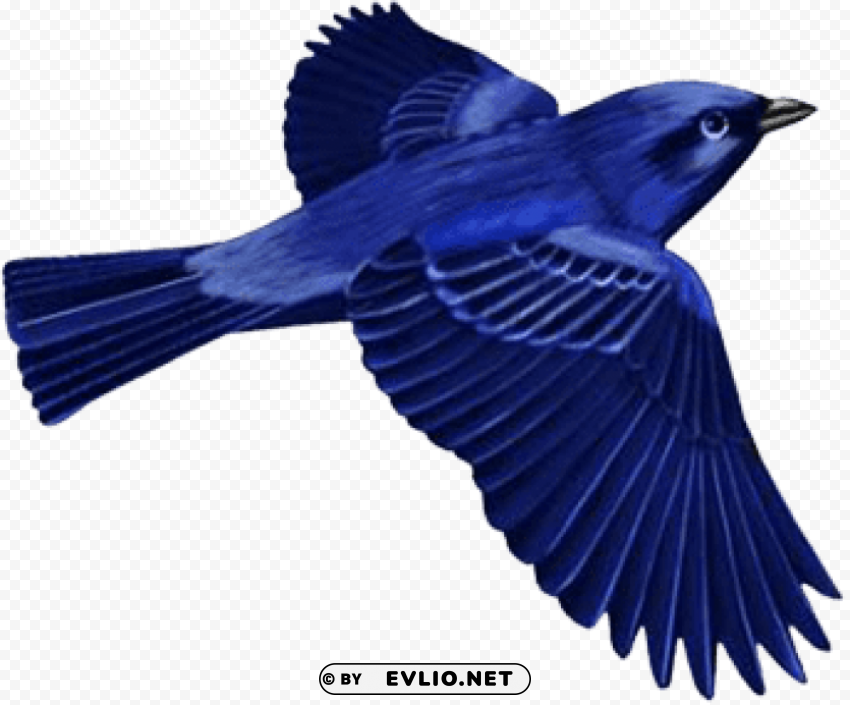 dark blue bird clip-art High Resolution PNG Isolated Illustration
