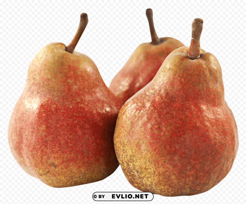 pear fruits HighResolution Isolated PNG with Transparency
