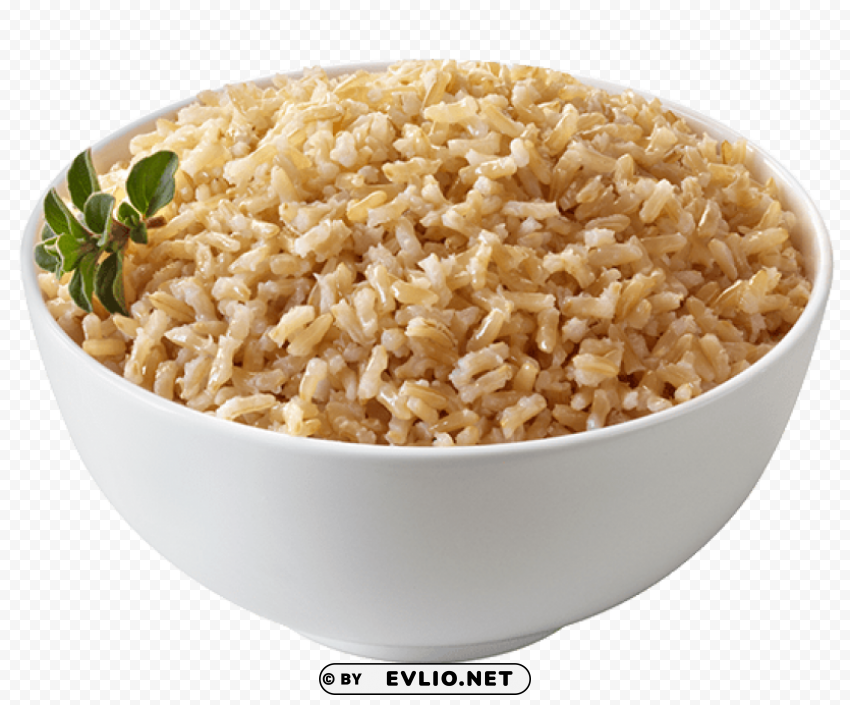rice PNG with no background diverse variety
