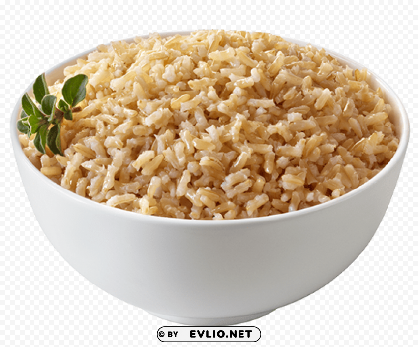 Rice PNG With No Background Diverse Variety