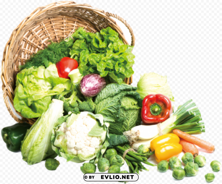 vegetables Transparent PNG images bulk package