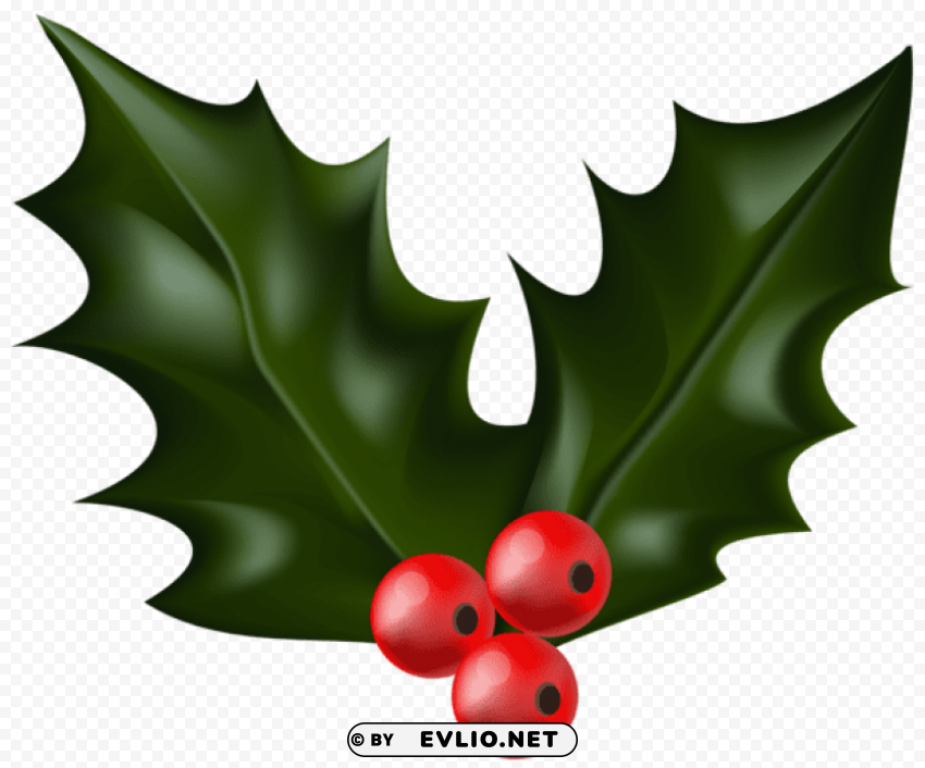 christmas holly mistletoe Transparent PNG images pack