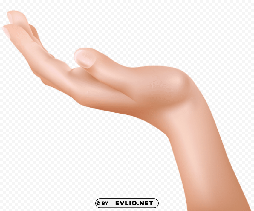 handpicture PNG high quality