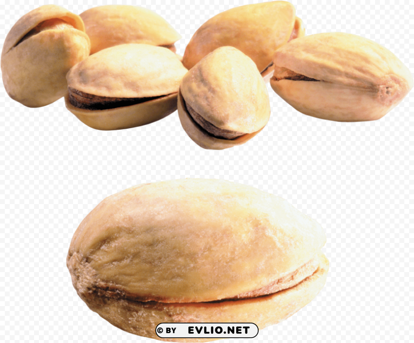 pistachios PNG files with clear background variety