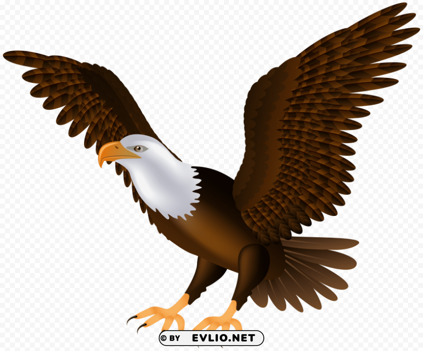 Eagle Isolated Artwork On Clear Background PNG