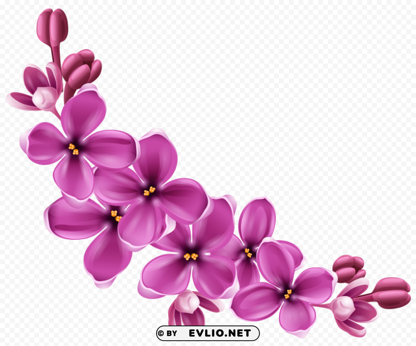 PNG image of flowers Transparent PNG Isolated Graphic Element with a clear background - Image ID 525ec523