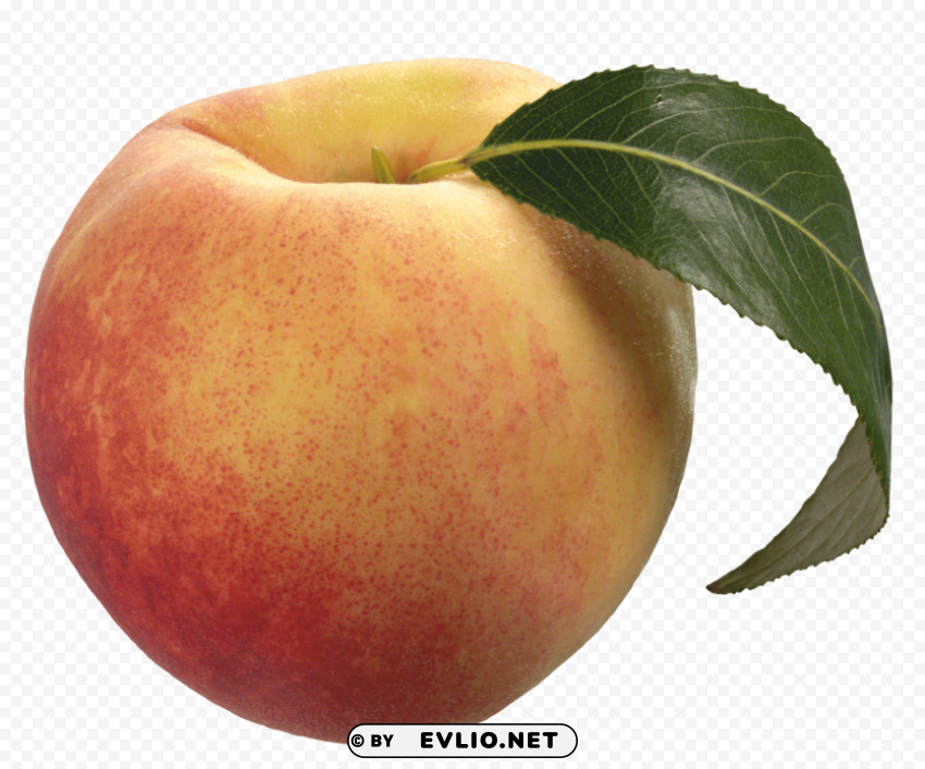 peach with green leaf PNG transparent backgrounds