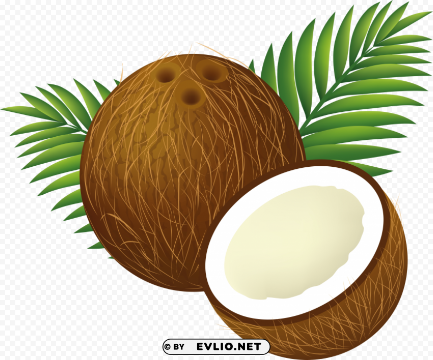 coconut Transparent Background Isolated PNG Design