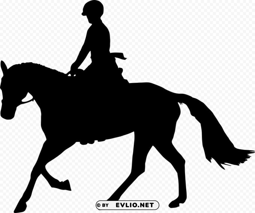 Transparent horse silhouette High-resolution PNG images with transparency wide set PNG Image - ID bbf72a45