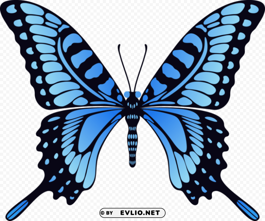 butterfly Isolated Graphic Element in HighResolution PNG