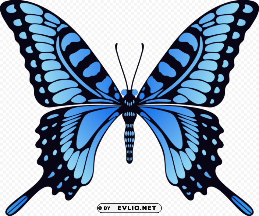 butterfly Isolated Item with HighResolution Transparent PNG