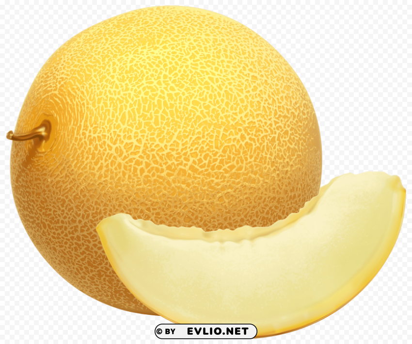 Cantaloupe PNG Transparent Vectors