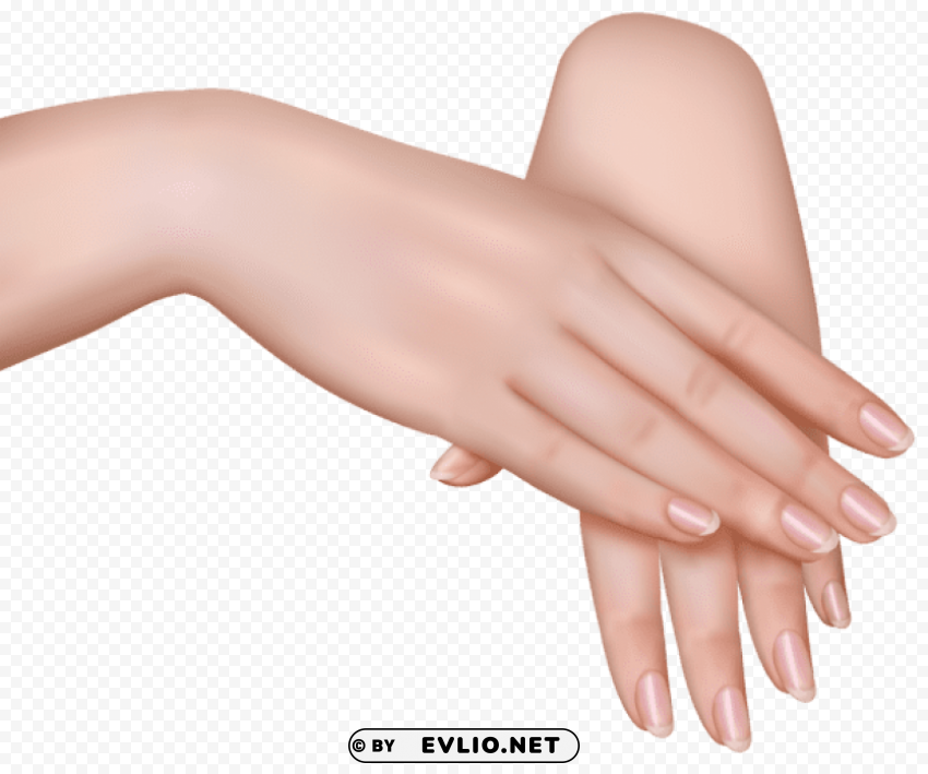 female hands PNG design