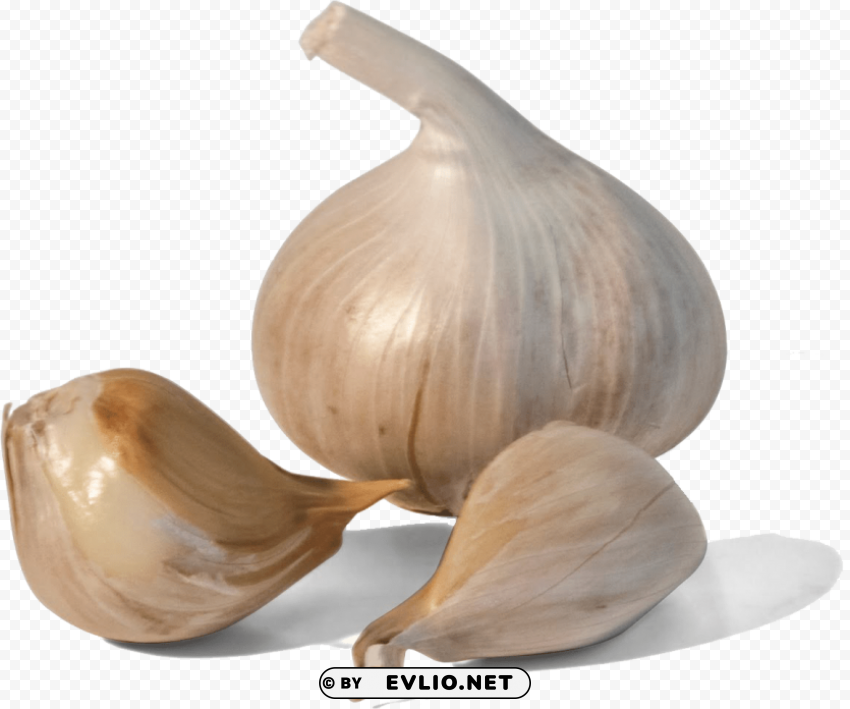 garlic Transparent PNG Isolation of Item