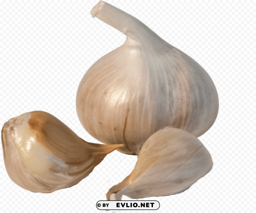 Transparent garlic image Clear PNG pictures comprehensive bundle PNG background - Image ID c5311bf0