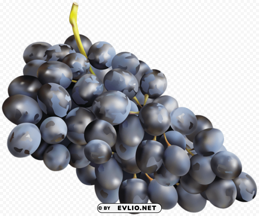 Grape Transparent PNG Images For Merchandise