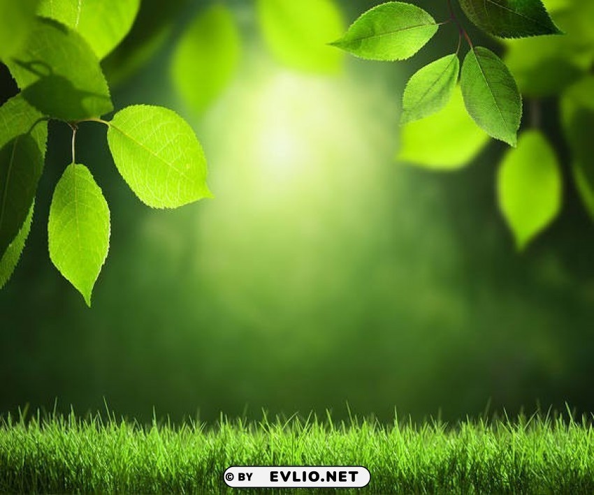 green summer Free PNG download