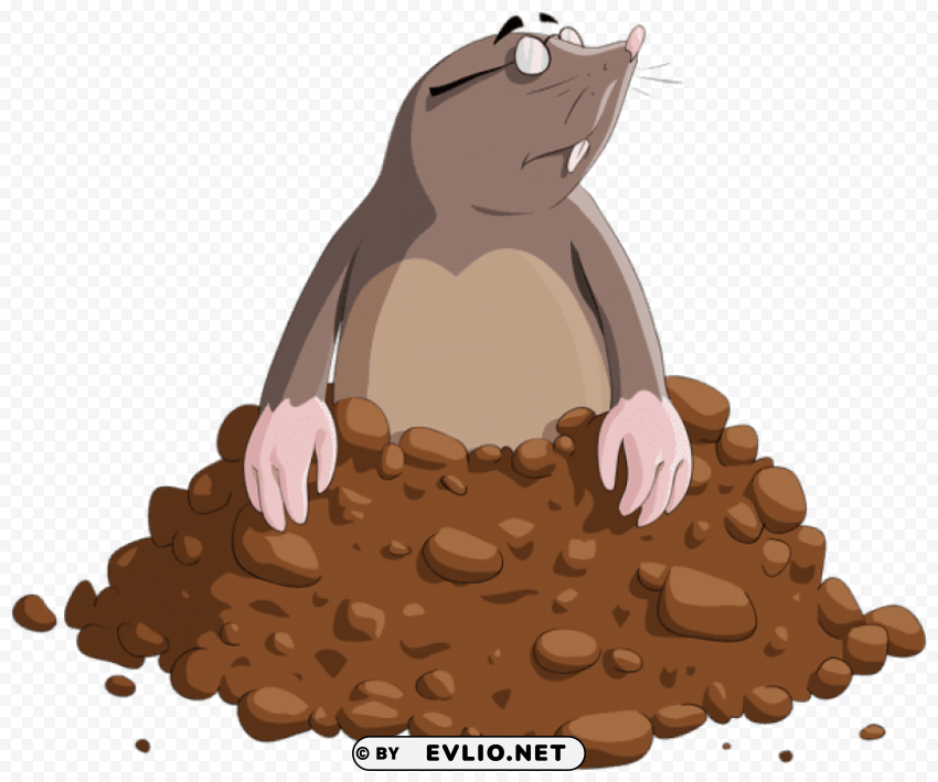 mole cartoon Isolated Item on Clear Transparent PNG