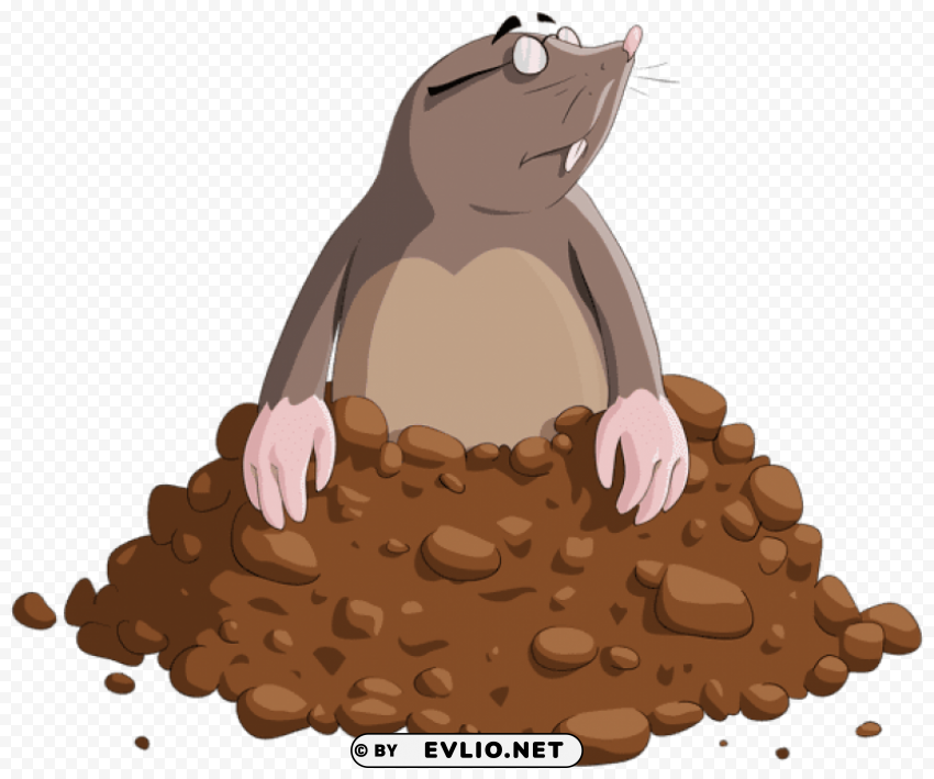 Mole Cartoon Isolated Item On Clear Transparent PNG