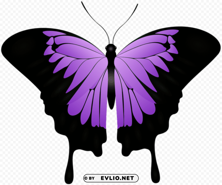 purple butterfly decorative transparent PNG clear background