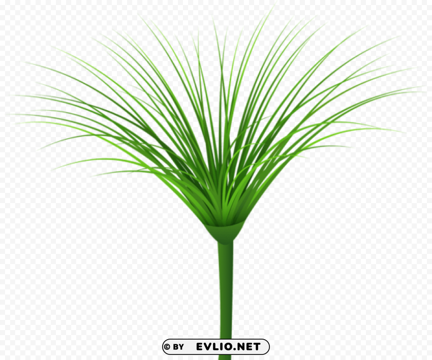 tropical green leaf PNG for educational projects