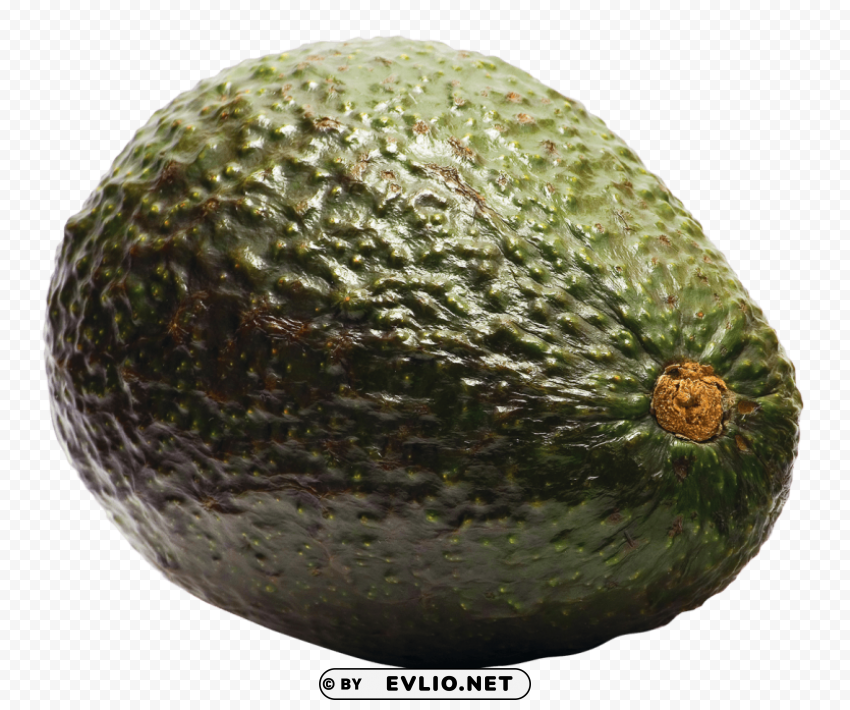 Avocado PNG images with clear cutout