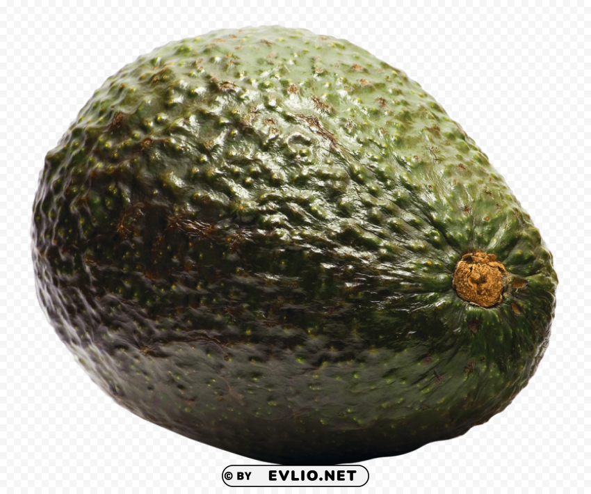 avocado PNG format with no background