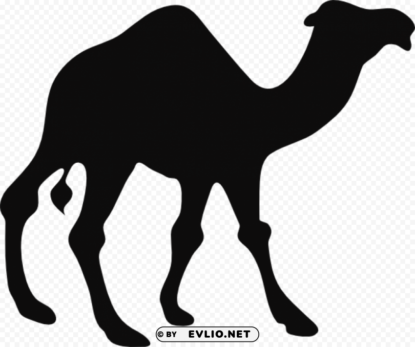 camel Isolated PNG on Transparent Background png images background - Image ID b041cdae