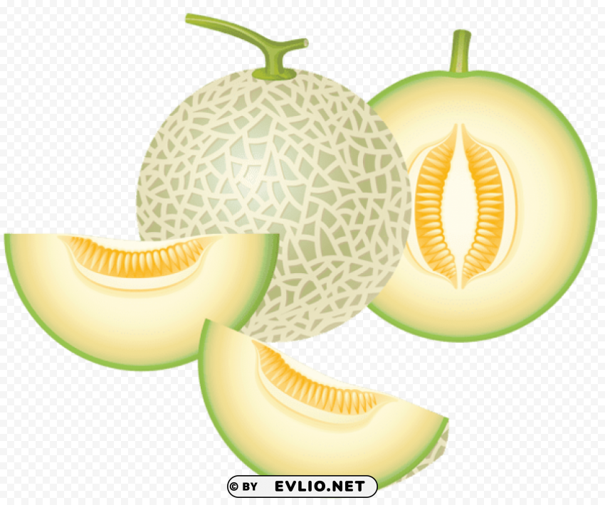 cantaloupe melon Clear background PNG images bulk