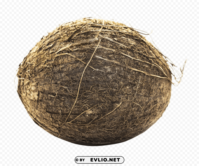 coconut Isolated Element in HighResolution Transparent PNG