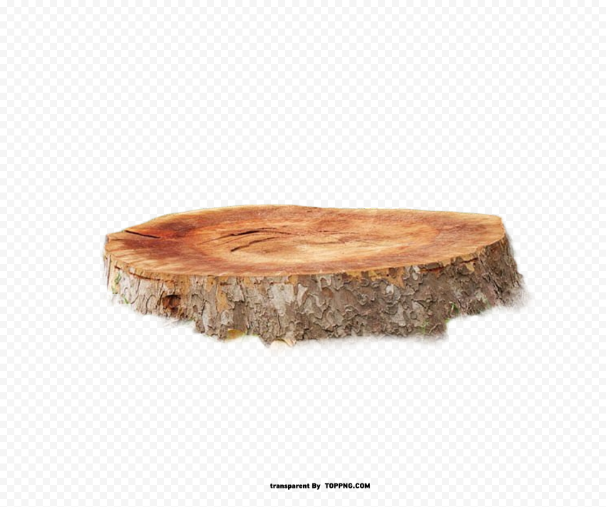 free tree stump clipart PNG transparent graphic