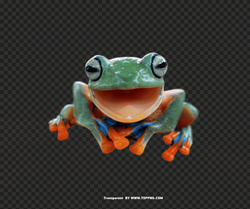 HD Pepe The Frog Smiling Happy Face Isolated Subject with Clear Transparent PNG