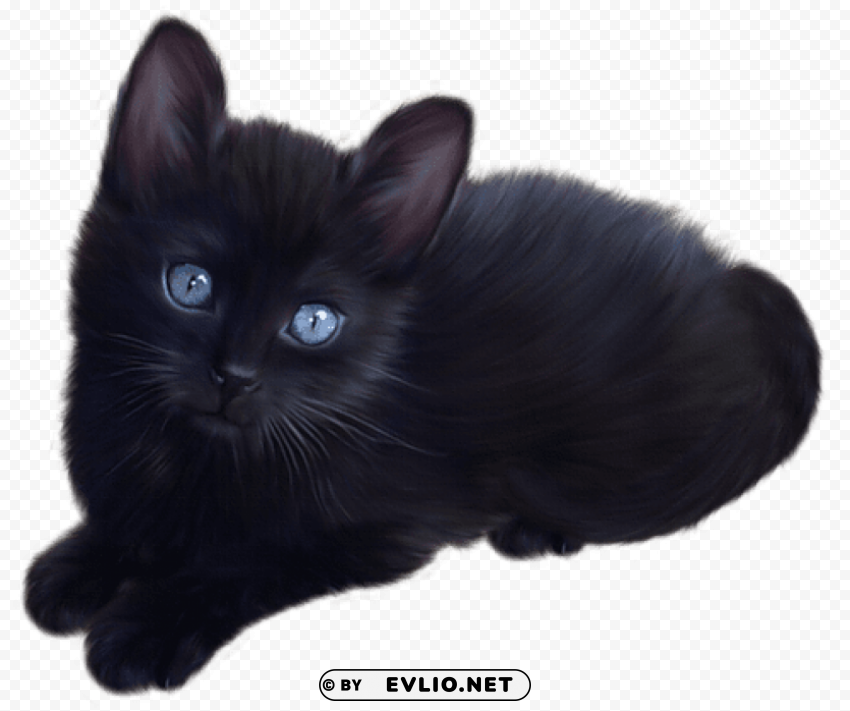 little black cat Isolated PNG Item in HighResolution