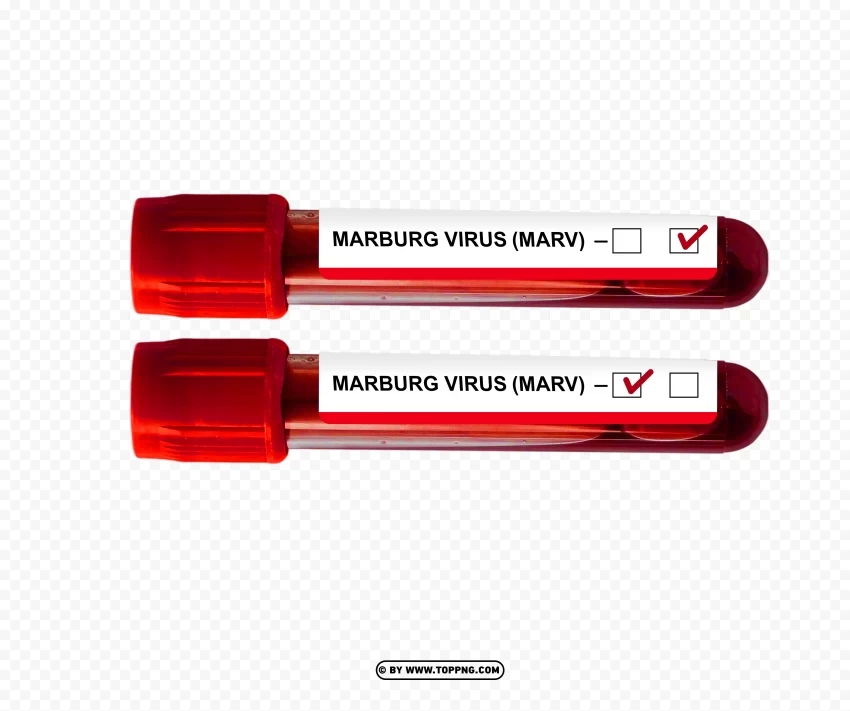 Marburg virus positive and negative blood samples in test tube PNG images with clear alpha channel broad assortment