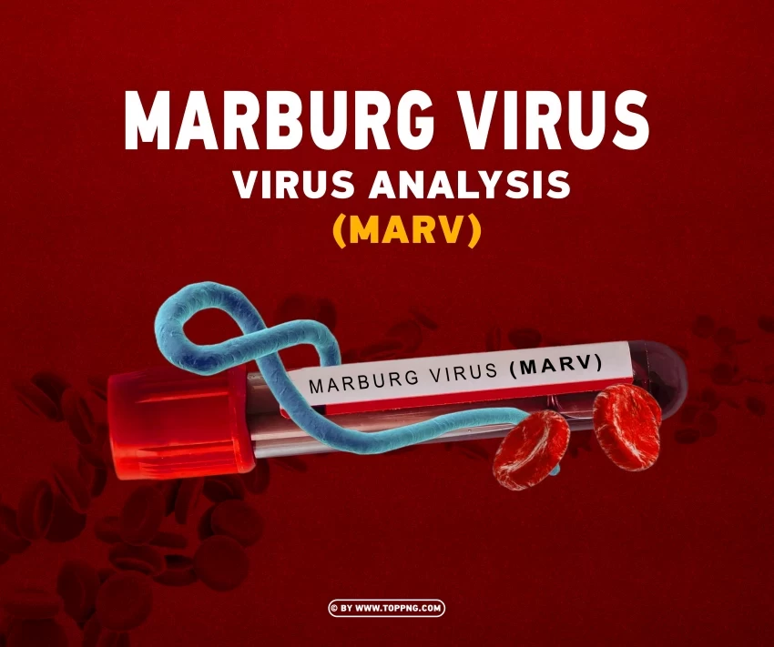 marburg virus analysis marv test blood image design PNG images with alpha transparency layer