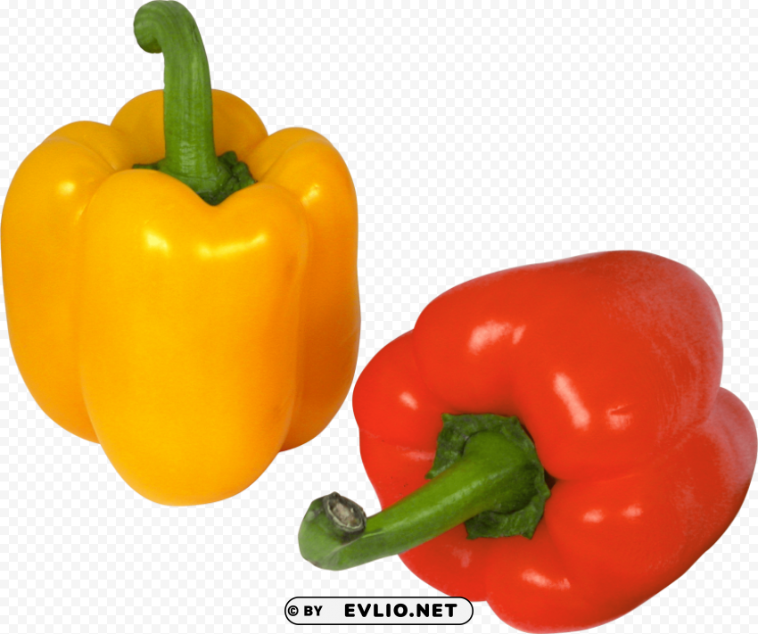 pepper PNG for social media