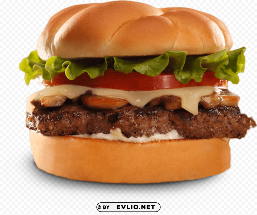 burger Isolated Item with HighResolution Transparent PNG