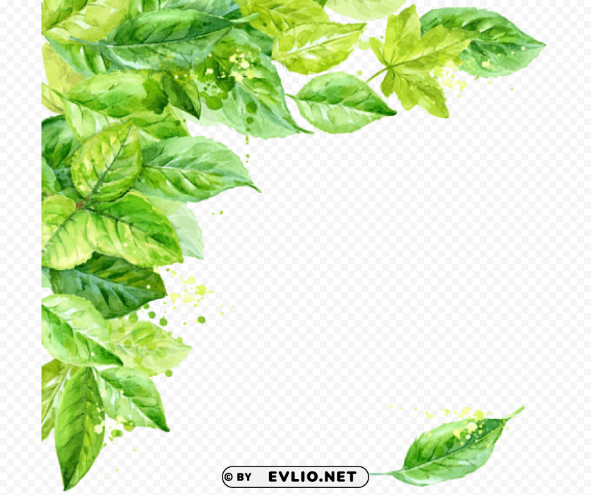 Leaf Frame PNG Without Background